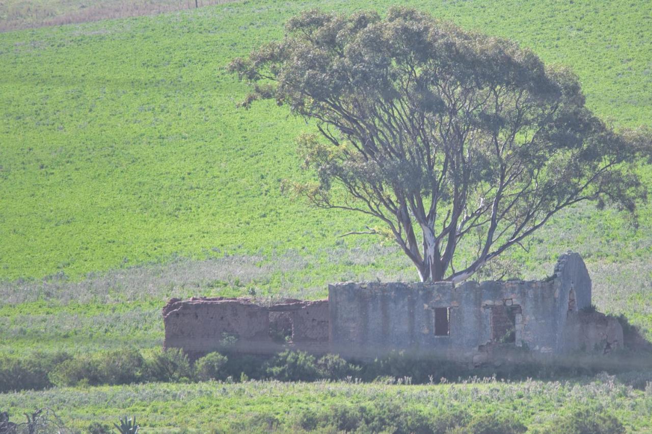 Old Sam'S Cottage Bredasdorp Kültér fotó