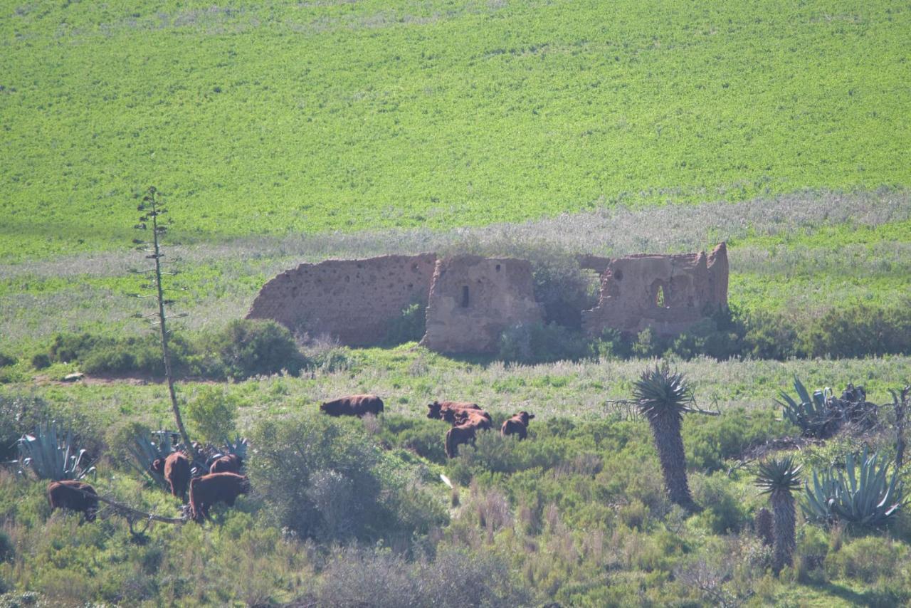 Old Sam'S Cottage Bredasdorp Kültér fotó